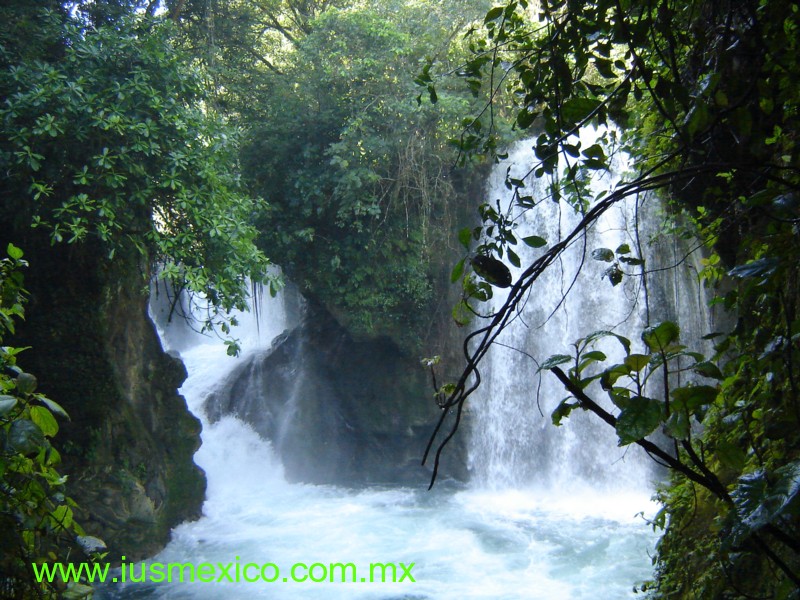 San Luis Potosí, México. Tamasopo, Puente de Dios.