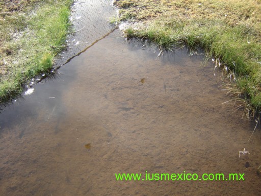 ESTADO DE DURANGO, México. Navacoyán; Durango; Balneario San Juan y los peces del desierto.