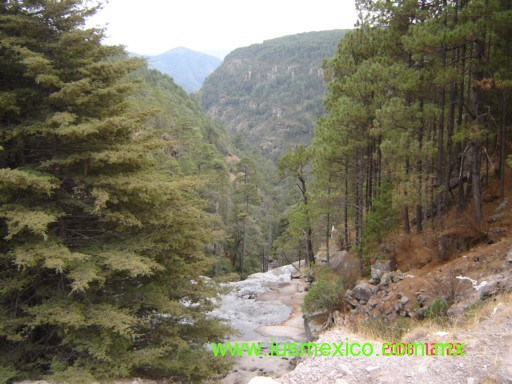 ESTADO DE DURANGO, México. Pueblo Nuevo; Mexiquillo.