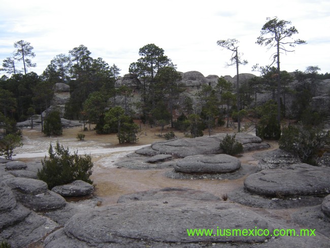 ESTADO DE DURANGO, México. Pueblo Nuevo; Mexiquillo, Jardín de Piedra.