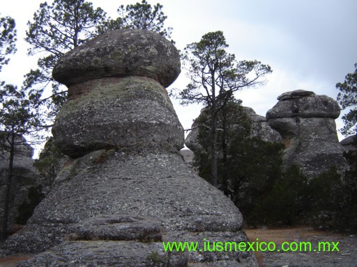 ESTADO DE DURANGO, México. Pueblo Nuevo; Mexiquillo, Jardín de Piedra.