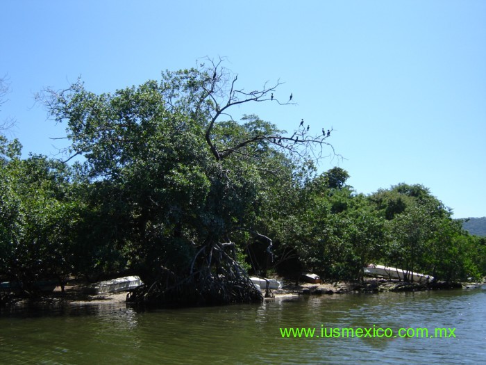 Estado de OAXACA, México. San Pedro Tututepec; Lagunas de Chacahua.