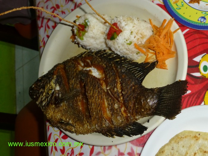 Tabasco, M&eacute;xico. Para&iacute;so. "El Bellote", Restaurante "Chely"