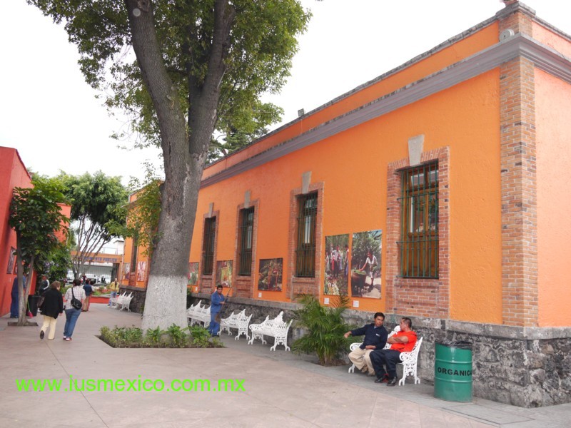 DISTRITO FEDERAL, México. Coyoacán; Museo Nacional de las Culturas Populares, sus patios.