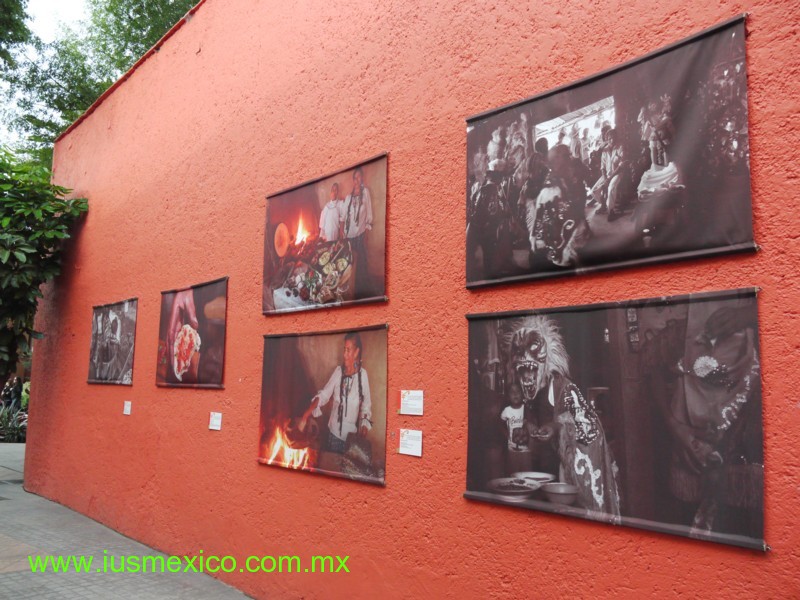 DISTRITO FEDERAL, México. Coyoacán; Museo Nacional de las Culturas Populares, sus patios.
