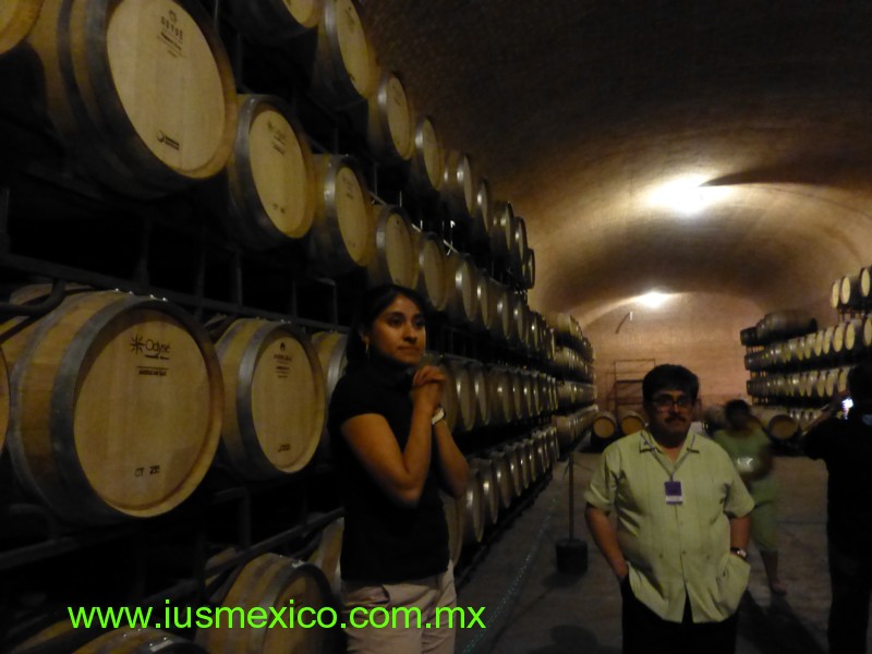 ESTADO DE QUERÉTARO, Ezequiel Montes. Freixenet; Finca Sala Vivé.