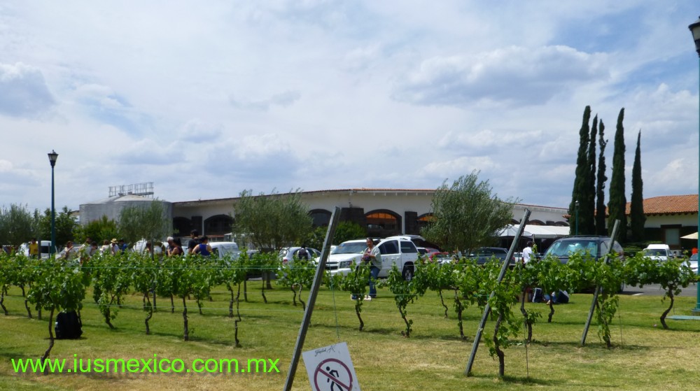 ESTADO DE QUERÉTARO, Ezequiel Montes. Freixenet; Finca Sala Vivé.