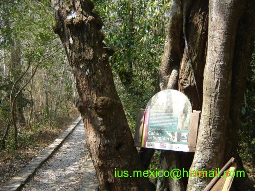 Chiapas, México. Tuxtla Gutiérrez. Cañón del Sumidero.