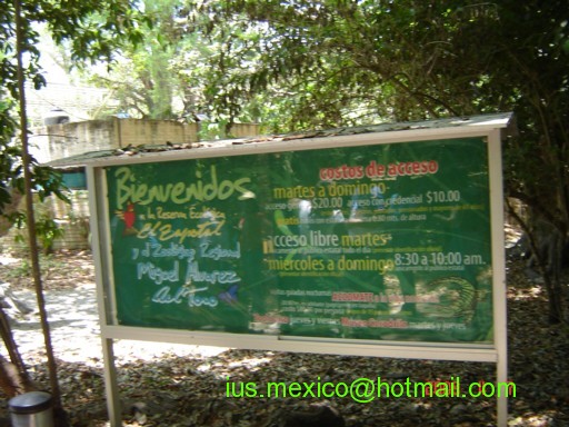 Chiapas, México. Tuxtla Gutiérrez. Zoológico "Miguel Alvarez del Toro" (ZOOMAT)